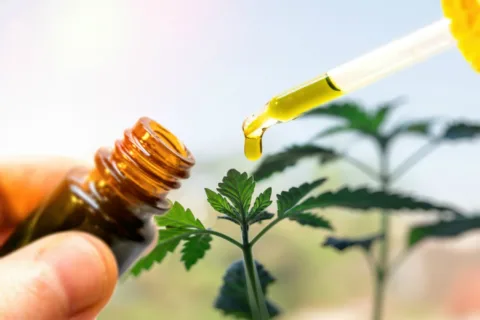 Here's my experience using CBD oil for pain 