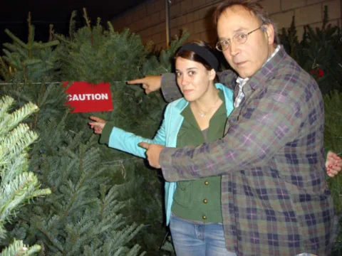 Christmas tree mold is a real problem and you need to know the facts