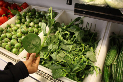 high fiber greens