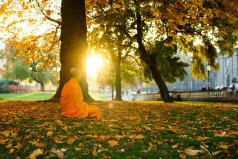 mindfulness meditation outside