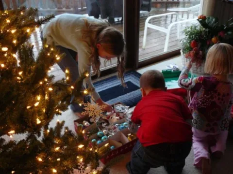 gathering around the Christmas tree can cause tree allergies for some